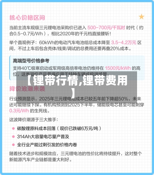 【锂带行情,锂带费用】-第3张图片
