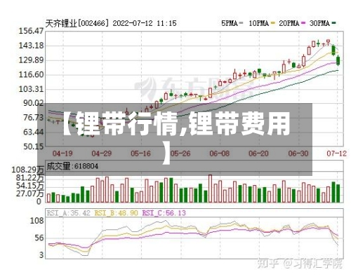 【锂带行情,锂带费用】