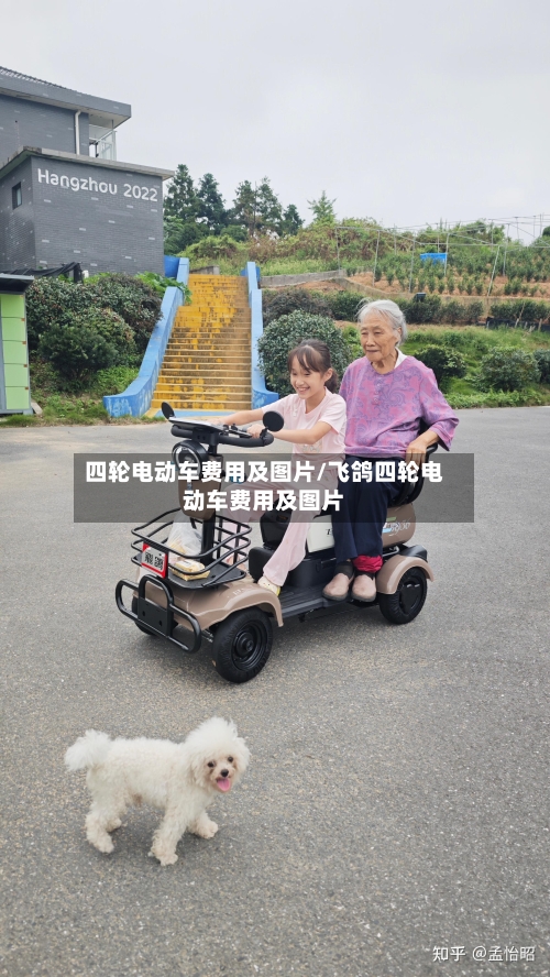 四轮电动车费用及图片/飞鸽四轮电动车费用及图片-第2张图片