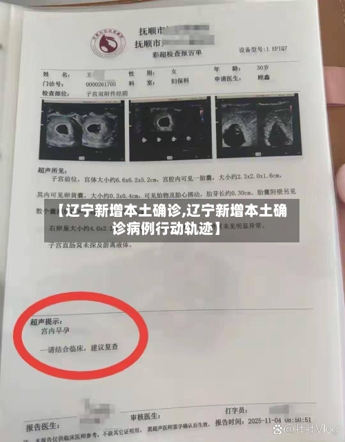 【辽宁新增本土确诊,辽宁新增本土确诊病例行动轨迹】
