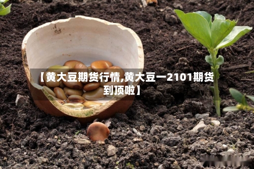 【黄大豆期货行情,黄大豆一2101期货到顶啦】