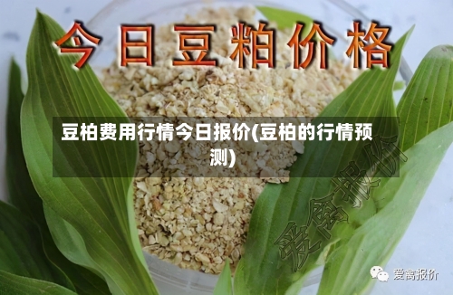 豆柏费用行情今日报价(豆柏的行情预测)-第3张图片