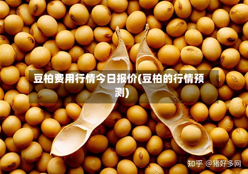 豆柏费用行情今日报价(豆柏的行情预测)-第2张图片