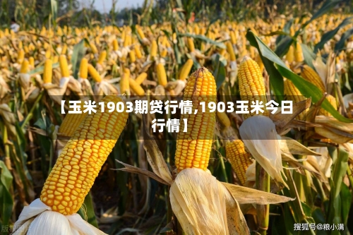 【玉米1903期贷行情,1903玉米今日行情】