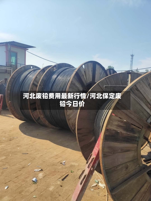 河北废铅费用最新行情/河北保定废铅今日价