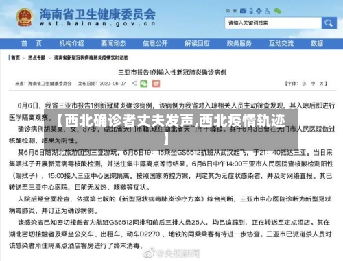 【西北确诊者丈夫发声,西北疫情轨迹】-第2张图片