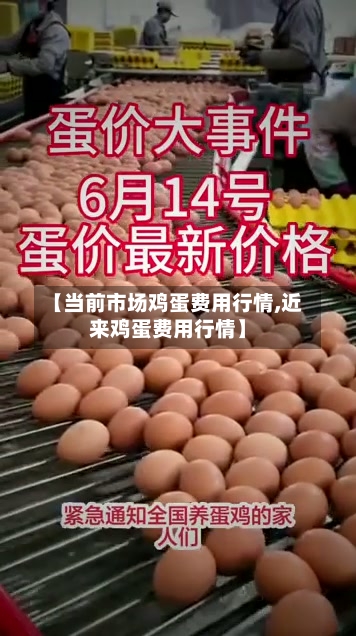 【当前市场鸡蛋费用行情,近来鸡蛋费用行情】