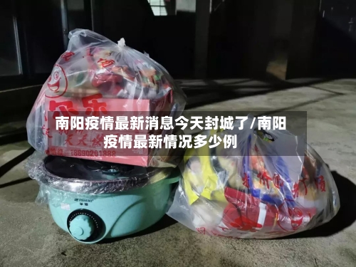 南阳疫情最新消息今天封城了/南阳疫情最新情况多少例-第2张图片