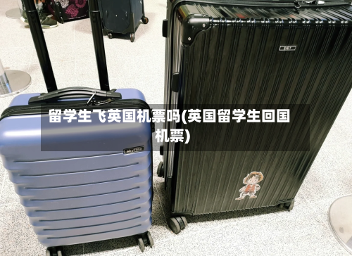 留学生飞英国机票吗(英国留学生回国机票)-第2张图片