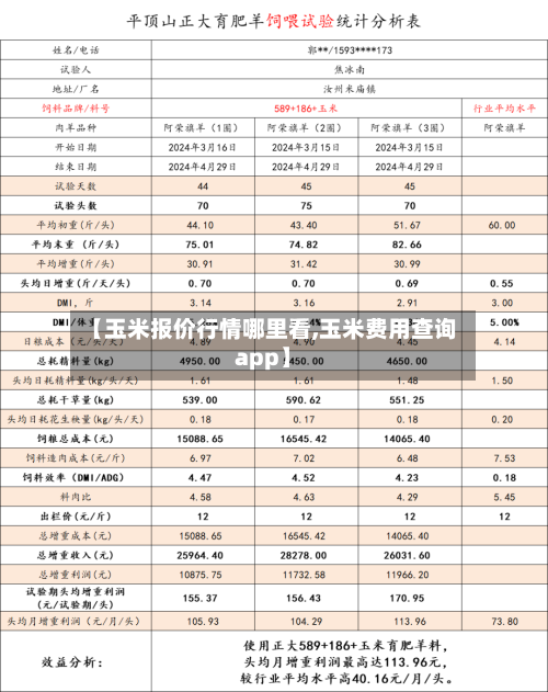 【玉米报价行情哪里看,玉米费用查询app】-第2张图片