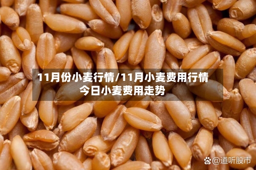 11月份小麦行情/11月小麦费用行情今日小麦费用走势
