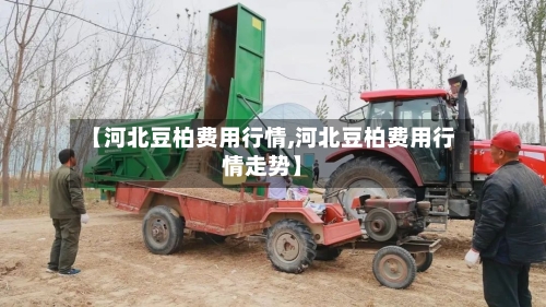 【河北豆柏费用行情,河北豆柏费用行情走势】-第2张图片