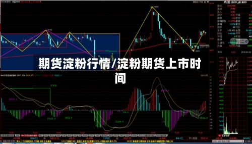 期货淀粉行情/淀粉期货上市时间-第2张图片