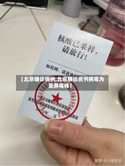 【北京确诊病例,北京确诊病例病毒为变异毒株】-第2张图片