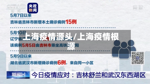 上海疫情源头/上海疫情根源-第2张图片