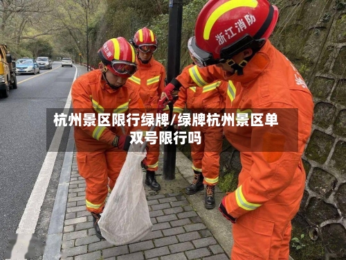 杭州景区限行绿牌/绿牌杭州景区单双号限行吗-第2张图片