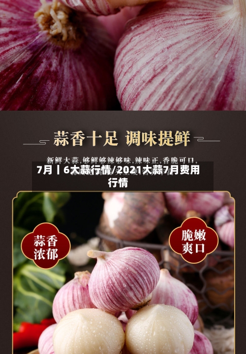 7月丨6大蒜行情/2021大蒜7月费用行情
