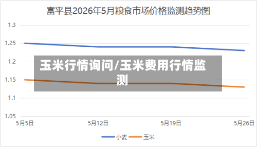 玉米行情询问/玉米费用行情监测-第2张图片