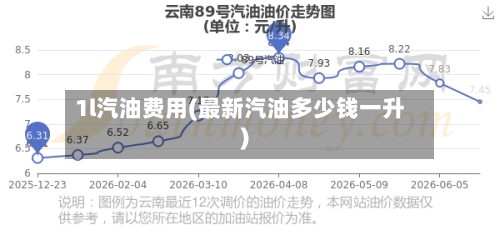 1l汽油费用(最新汽油多少钱一升)-第2张图片