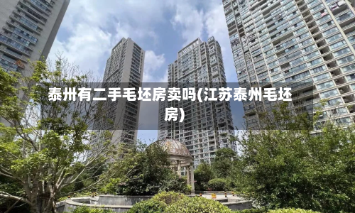 泰卅有二手毛坯房卖吗(江苏泰州毛坯房)