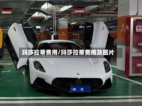 玛莎拉蒂费用/玛莎拉蒂费用及图片