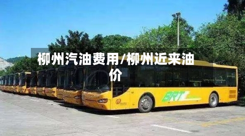 柳州汽油费用/柳州近来油价