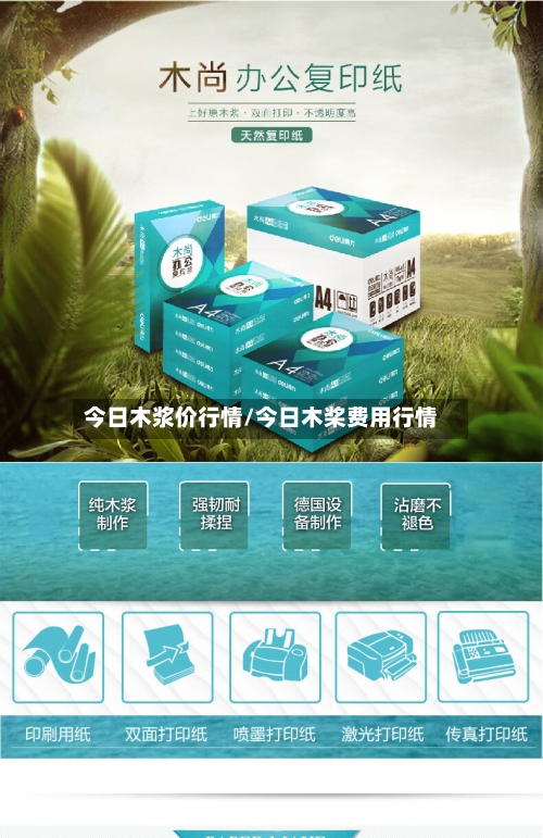 今日木浆价行情/今日木桨费用行情-第2张图片