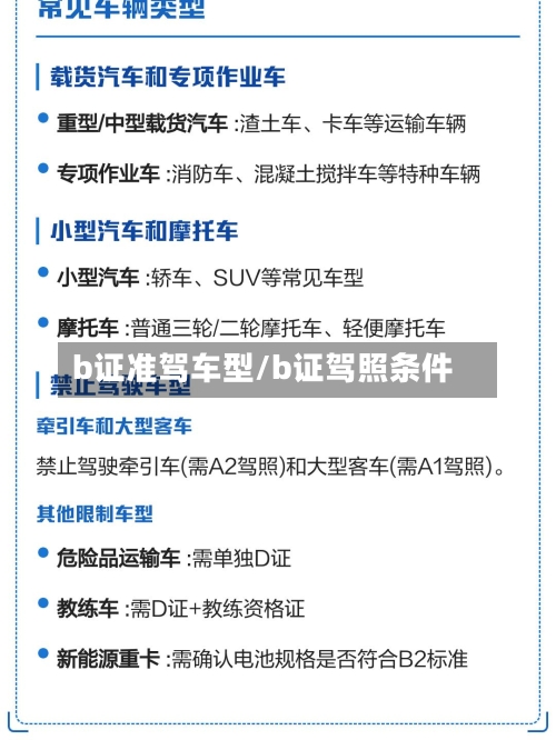 b证准驾车型/b证驾照条件-第3张图片
