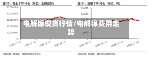 电解镍现货行情/电解镍费用走势