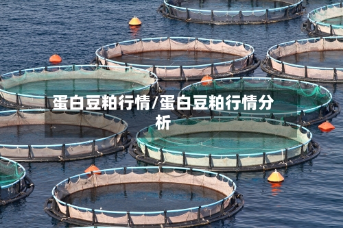 蛋白豆粕行情/蛋白豆粕行情分析