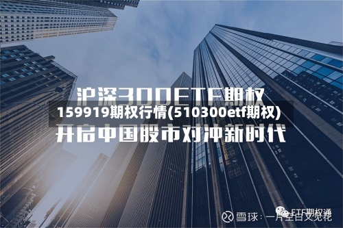159919期权行情(510300etf期权)