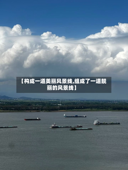 【构成一道美丽风景线,组成了一道靓丽的风景线】