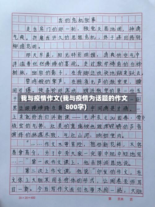我与疫情作文(我与疫情为话题的作文800字)