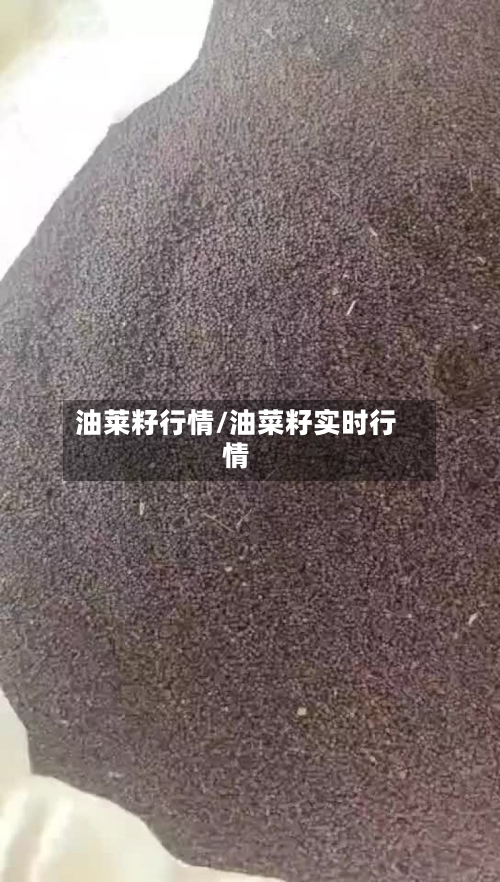 油莱籽行情/油菜籽实时行情-第2张图片