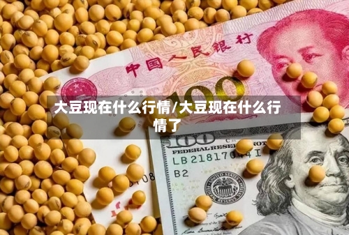 大豆现在什么行情/大豆现在什么行情了-第3张图片