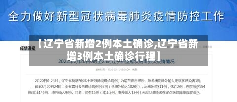 【辽宁省新增2例本土确诊,辽宁省新增3例本土确诊行程】-第2张图片