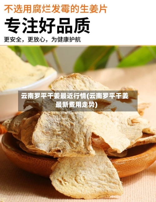 云南罗平干姜最近行情(云南罗平干姜最新费用走势)