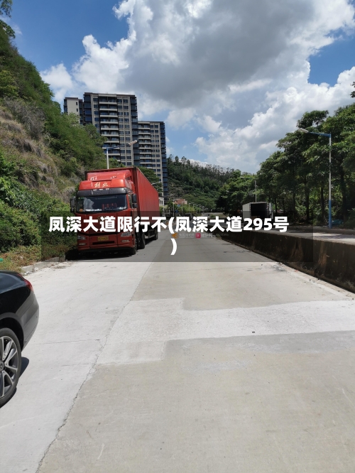 凤深大道限行不(凤深大道295号)