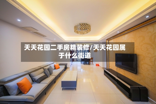 天天花园二手房精装修/天天花园属于什么街道-第3张图片