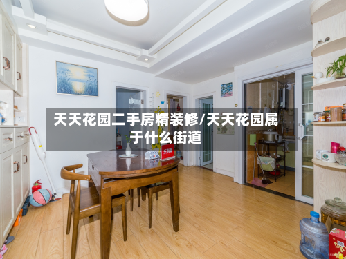 天天花园二手房精装修/天天花园属于什么街道-第2张图片