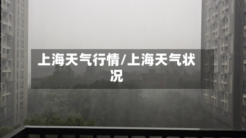 上海天气行情/上海天气状况