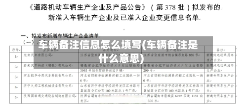 车辆备注信息怎么填写(车辆备注是什么意思)