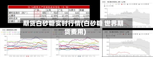 期货白砂糖实时行情(白砂糖 世界期货费用)