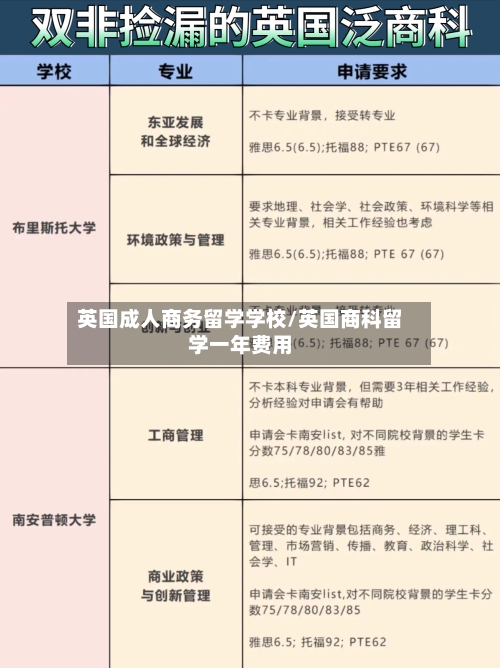英国成人商务留学学校/英国商科留学一年费用