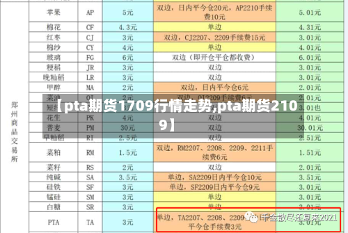 【pta期货1709行情走势,pta期货2109】