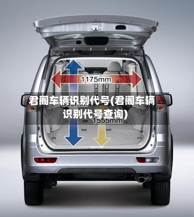君阁车辆识别代号(君阁车辆识别代号查询)