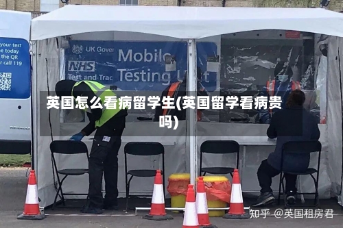 英国怎么看病留学生(英国留学看病贵吗)-第3张图片