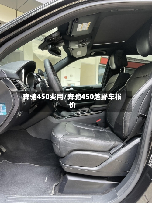 奔驰450费用/奔驰450越野车报价-第3张图片