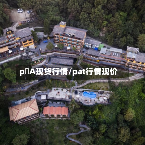 p丅A现货行情/pat行情现价