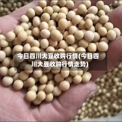 今日四川大豆收购行情(今日四川大豆收购行情走势)